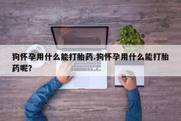 打胎药怎么买狗怀孕用什么能打胎药.狗怀孕用什么能打胎药呢？