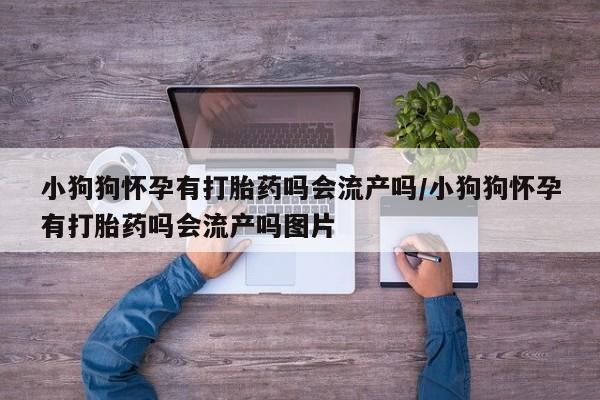打胎药怎么买小狗狗怀孕有打胎药吗会流产吗/小狗狗怀孕有打胎药吗会流产吗图片