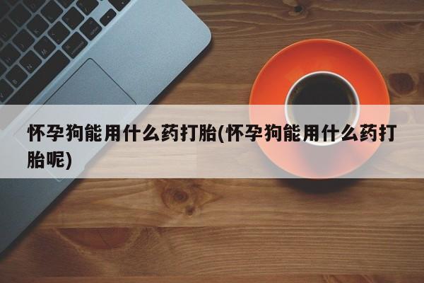 打胎药怎么买怀孕狗能用什么药打胎(怀孕狗能用什么药打胎呢)