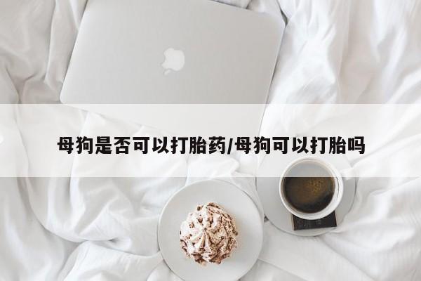 打胎药怎么买母狗是否可以打胎药/母狗可以打胎吗